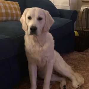 Meet your Posher, Aubrey